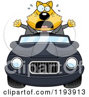 Poster, Art Print Of Scared Chubby Business Cat Driving A Convertible Car
