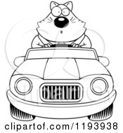 Poster, Art Print Of Black And White Surprised Chubby Business Cat Driving A Convertible Car