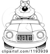 Poster, Art Print Of Black And White Happy Chubby Business Cat Driving A Convertible Car