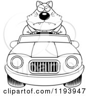 Poster, Art Print Of Black And White Mad Chubby Business Cat Driving A Convertible Car
