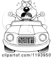 Poster, Art Print Of Black And White Scared Chubby Business Cat Driving A Convertible Car