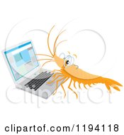 Shrimp Wearing Glasses And Working On A Laptop