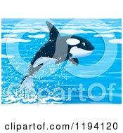 Poster, Art Print Of Cute Orca Killer Whale Leaping Out Of Water