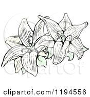 Clip Art Of Lilies Royalty Free Vector Illustration