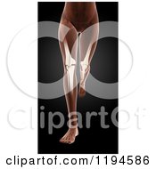 Clipart Of A 3d Running Female Medical Model With Visible Knees On Black Royalty Free CGI Illustration