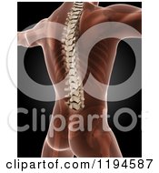 Clipart Of A Cropped 3d Xray Man With Visible Skin Spine And Skeleton Standing With His Arms Out On Black Royalty Free CGI Illustration