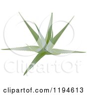 Clipart Of A Green Aloe Vera Plant Royalty Free Vector Illustration by dero