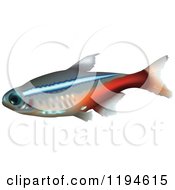 Clipart Of A Neon Tetra Fish Royalty Free Vector Illustration