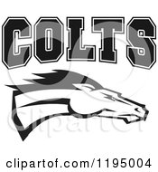 Poster, Art Print Of Black And White Horse Head With Colts Team Text
