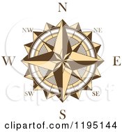 Brown And White Compass Rose 4
