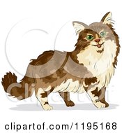 Poster, Art Print Of Cute Maine Coon Cat With Green Eyes