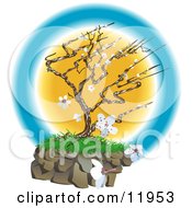 Pretty Japanese Tree With White Blossoms Clipart Illustration