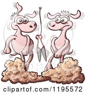 Cartoon Of A Embarrassed Sheep After Being Shorn Royalty Free Vector Clipart