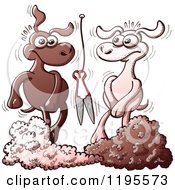 Cartoon Of A Embarrassed White And Black Sheep After Being Shorn With Opposite Colored Wool Royalty Free Vector Clipart