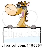 Poster, Art Print Of Happy Brown Horse Wearing Sunglasses And Holding A Sign