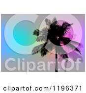 Poster, Art Print Of Silhouetted Palm Trees Over Gray With Colorful Lights