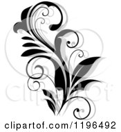 Poster, Art Print Of Black And White Flourish With A Shadow 5