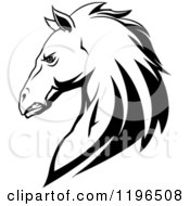 Tough Black And White Horse Head In Profile