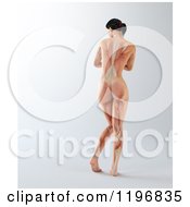 Poster, Art Print Of Rear View Of A 3d Nude Woman With Visible Muscles On Gray