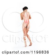 Poster, Art Print Of Rear View Of A 3d Nude Woman With Visible Lower Back Ache On White