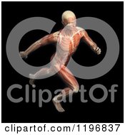 Poster, Art Print Of 3d Male Runner Body With Visible Muscles And Skeleton Over Black