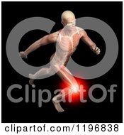 3d Male Runner Body With Visible Knee Pain Muscles And Skeleton Over Black