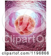 Clipart Of A 3d Embryo And Walls Royalty Free CGI Illustration by Mopic