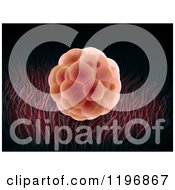 Clipart Of A 3d Embryo Royalty Free CGI Illustration