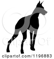 Black Silhouetted Doberman Pinscher Dog