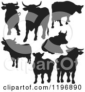 Poster, Art Print Of Black Silhouetted Cows
