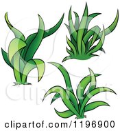 Poster, Art Print Of Tufts Of Green Grass