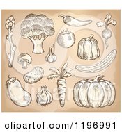 Cartoon Of Sketched Vegetables On Tan Royalty Free Vector Clipart by visekart
