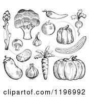 Cartoon Of Black And White Sketched Vegetables Royalty Free Vector Clipart by visekart