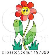 Happy Red Daisy Flower On A Stem