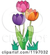 Cartoon Of Colorful Tulip Flowers Royalty Free Vector Clipart