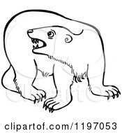 Poster, Art Print Of Black And White Angry Polar Bear