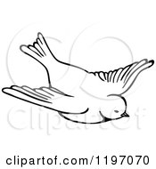 Poster, Art Print Of Black And White Flying Bird