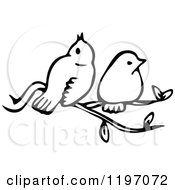 Clipart Of Black And White Birds On A Branch Royalty Free Vector Illustration