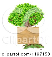 Poster, Art Print Of Wooden Sign Hanging On A Tree