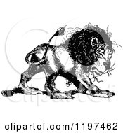 Clipart Of A Vintage Black And White Lion Royalty Free Vector Illustration