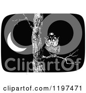 Clipart Of A Vintage Black And White Owl In A Tree At Night Royalty Free Vector Illustration