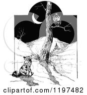 Clipart Of A Vintage Black And White Fox Watching An Owl At Night Royalty Free Vector Illustration