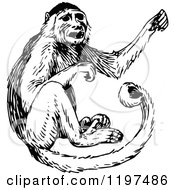 Clipart Of A Vintage Black And White Monkey Royalty Free Vector Illustration by Prawny Vintage