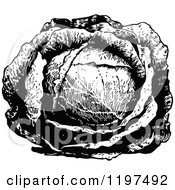 Clipart Of A Vintage Black And White Head Of Cabbage Royalty Free Vector Illustration