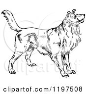 Clipart Of A Vintage Black And White Alert Dog Royalty Free Vector Illustration