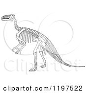 Clipart Of A Black And White Dinosaur Skeleton 2 Royalty Free Vector Illustration