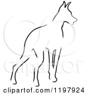 Poster, Art Print Of Sketched Outline Of A Doberman Pinscher Dog