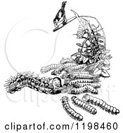 Clipart Of A Black And White Vintage Bird And Caterpillar Family Royalty Free Vector Illustration