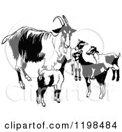Poster, Art Print Of Black And White Vintage Goat Family