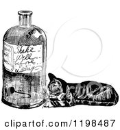 Black And White Vintage Cat Watching A Mouse In A Bottle